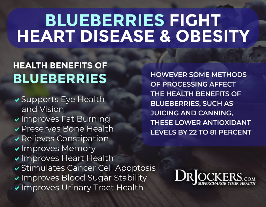 blueberries, 9 Ways Blueberries Boost Brain Function
