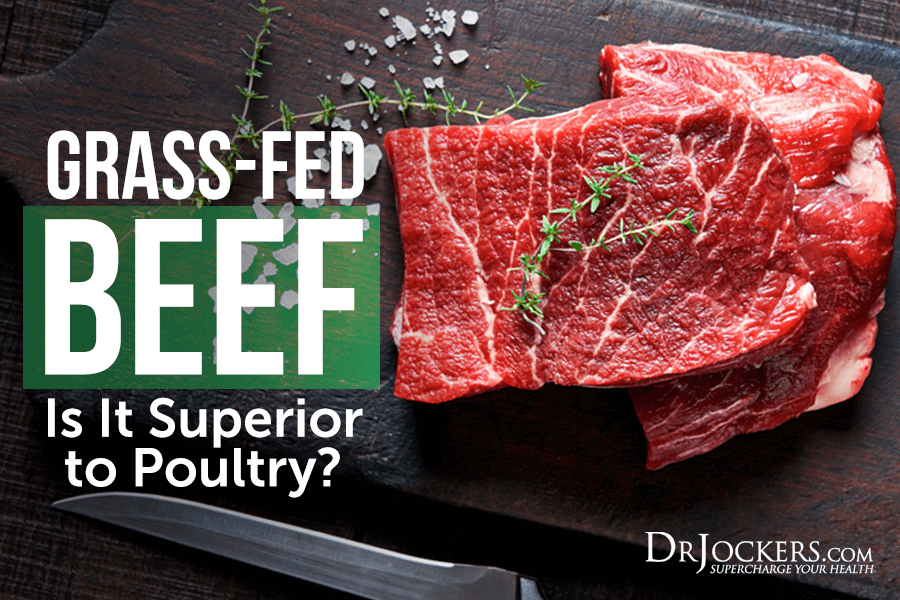 Grass Fed Beef, Grass-Fed Beef:  Is It Superior to Poultry?