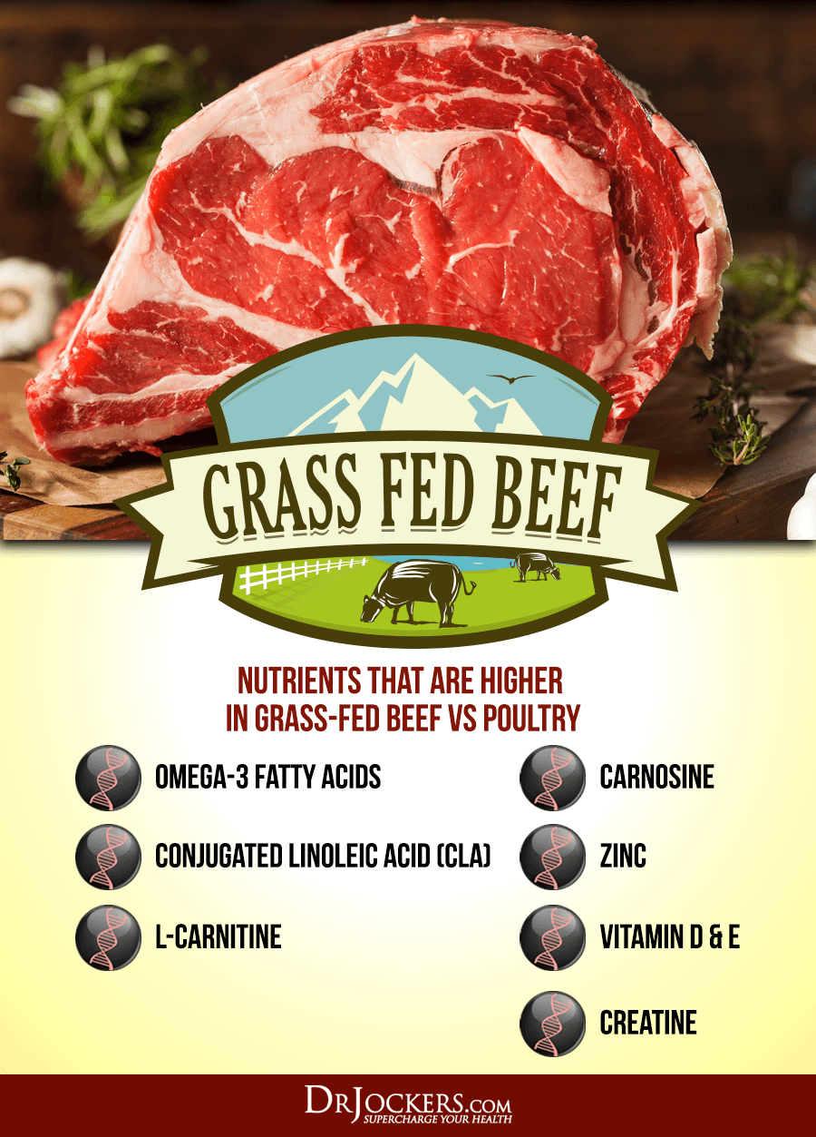 Grass Fed Beef, Grass-Fed Beef:  Is It Superior to Poultry?