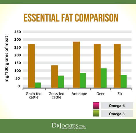 Grass Fed Beef: Is It Superior to Poultry? - DrJockers.com