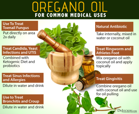 12 Ways to Use Oregano to Improve Your Immune System