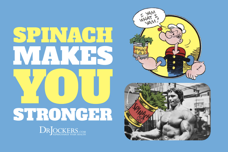 spinach, The Popeye Effect:  How Does Spinach Enhance Muscle Growth?