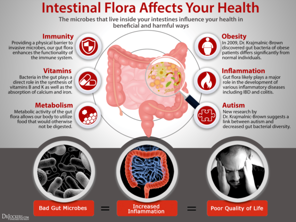 Healing Leaky Gut with Fasting and Liquid Nutrition - DrJockers.com