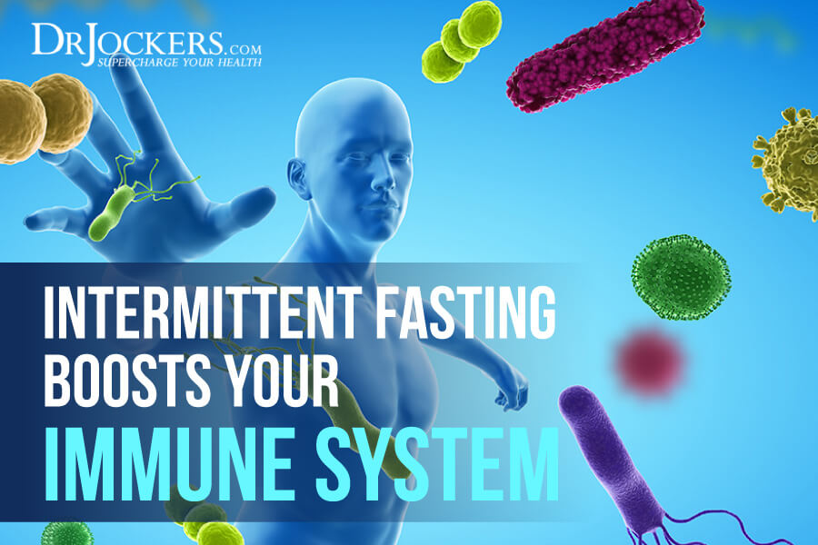 Intermittent Fasting, Intermittent Fasting Boosts Your Immune System