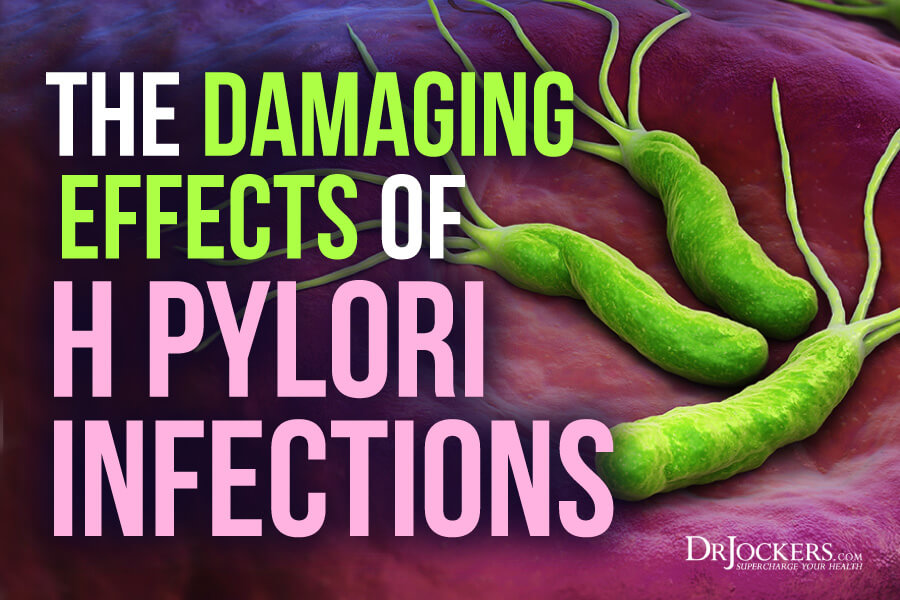 H Pylori, The Damaging Effects of H Pylori Infections
