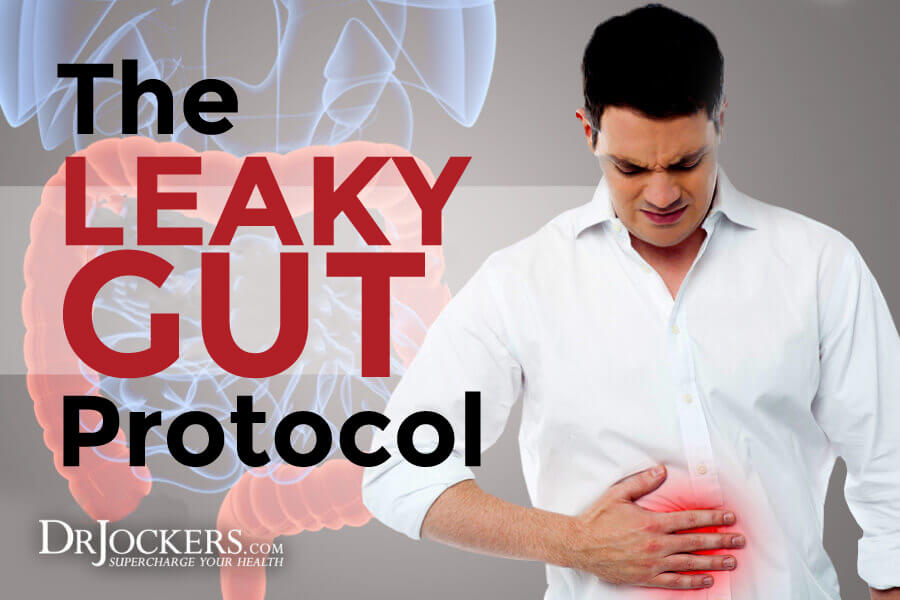 leaky gut protocol