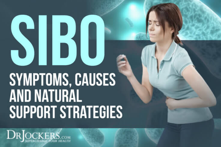 SIBO: Symptoms, Causes And Natural Support Strategies