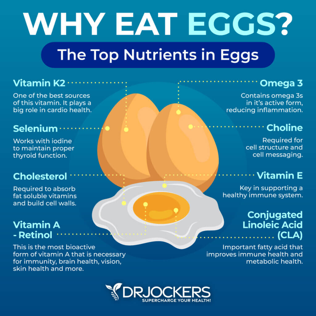 10 Key Health Benefits of Eggs in Your Diet - DrJockers.com