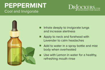 7 Benefits Of Peppermint Essential Oil For Brain And Body