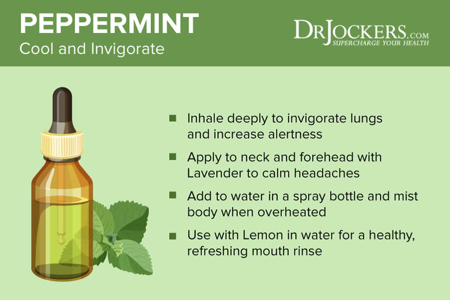 peppermint essential oil, 7 Benefits of Peppermint Essential Oil
