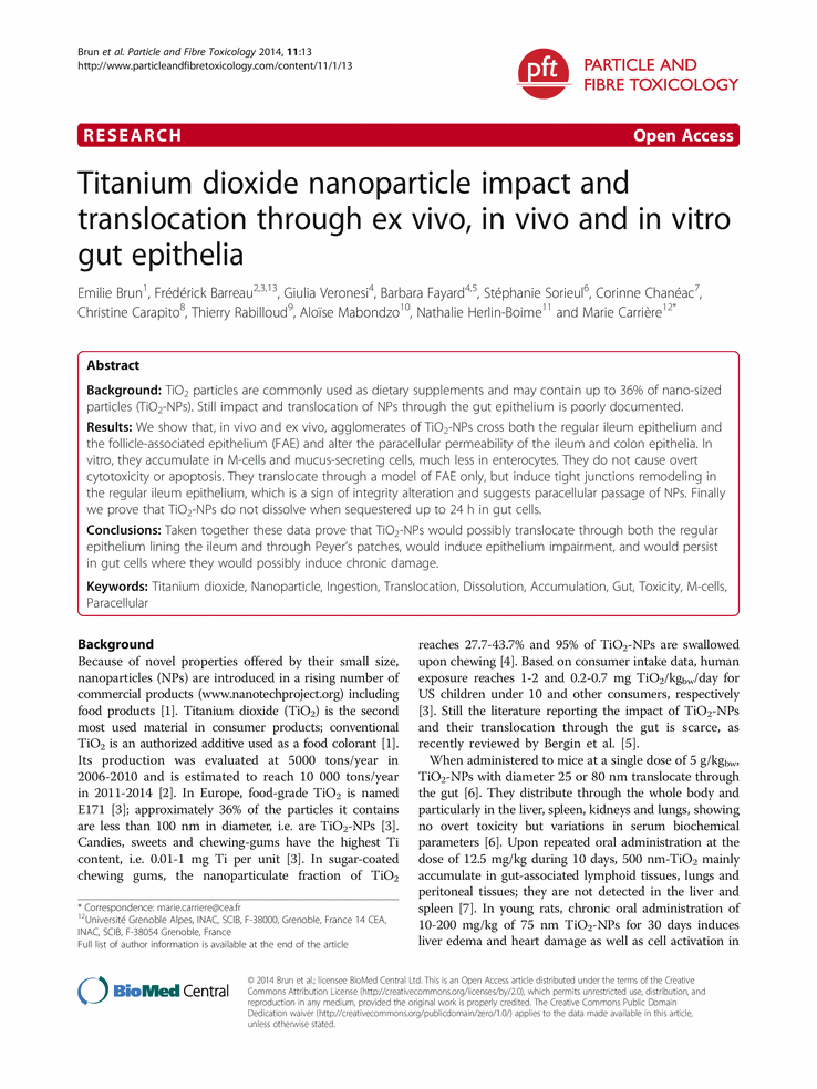 Titanium Dioxide, Is Titanium Dioxide Dangerous?