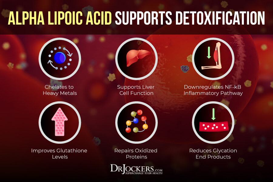 Lipoic Acid, Alpha Lipoic Acid:  Key Benefits on Inflammation and Blood Sugar