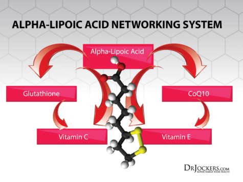 Alpha Lipoic Acid: Key Benefits on Inflammation and Blood Sugar
