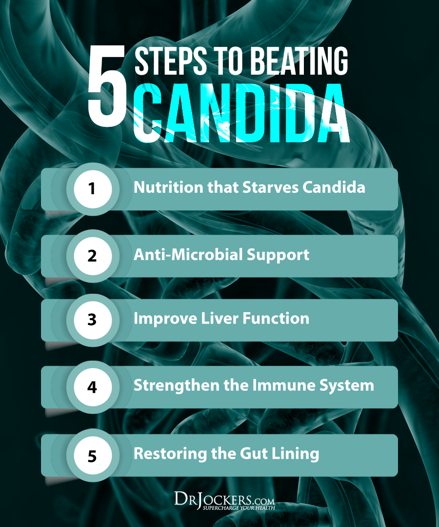 heal candida, 5 Crucial Steps to Heal Candida Naturally