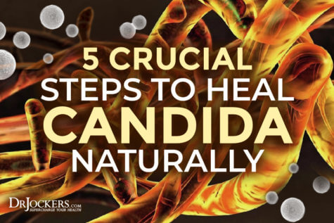 Crucial Steps To Heal Candida Naturally Drjockers Com