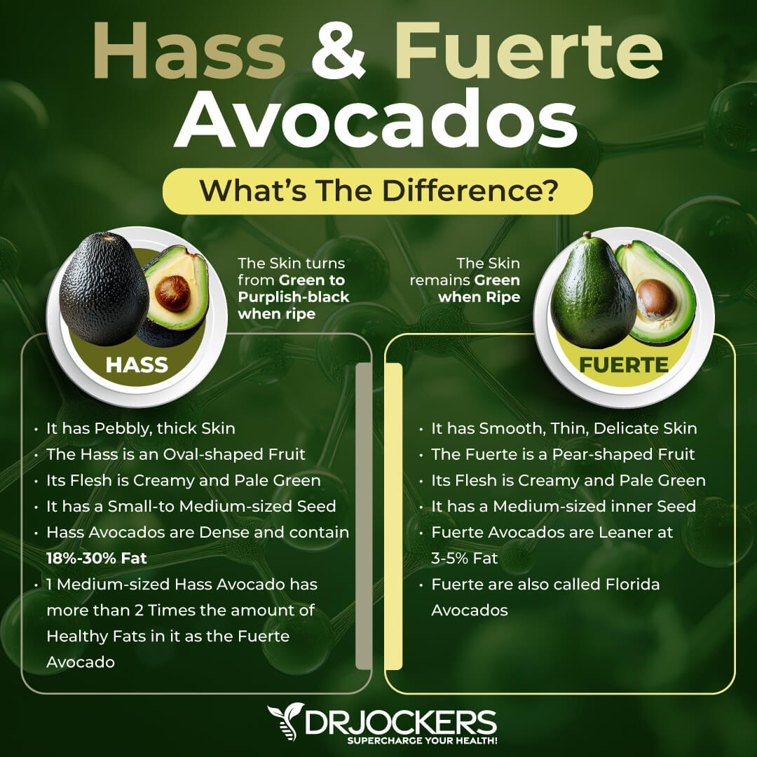 eat avocados
