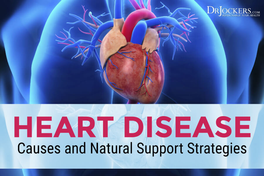 heart disease, Heart Disease:  Major Causes and Natural Support Strategies