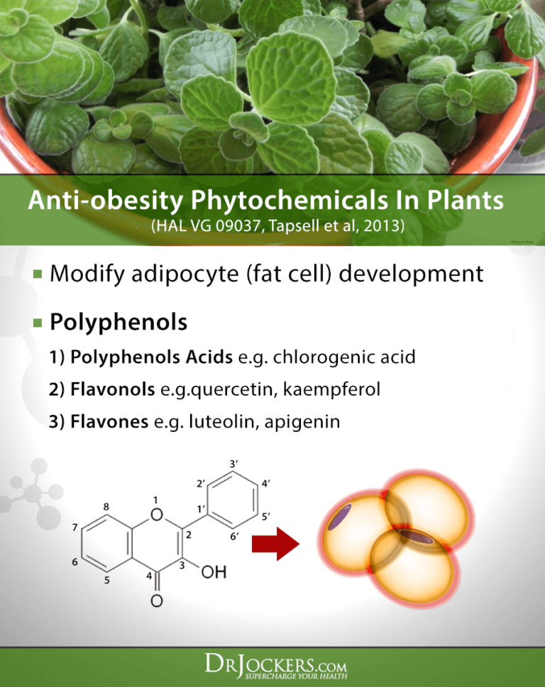 Quercetin Top 5 Benefits And How To Use It