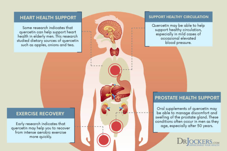 Quercetin Top 5 Benefits And How To Use It