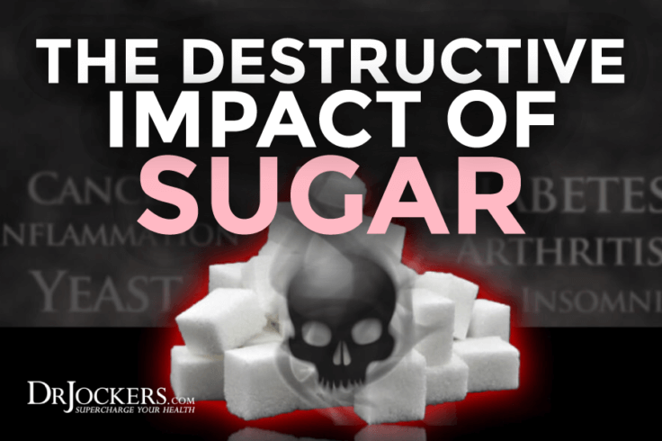 health-how-does-sugar-impact-the-brain-mcsm-rampage