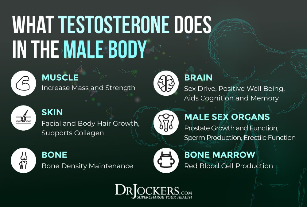 testosterone, 12 Ways to Boost Testosterone Levels Naturally