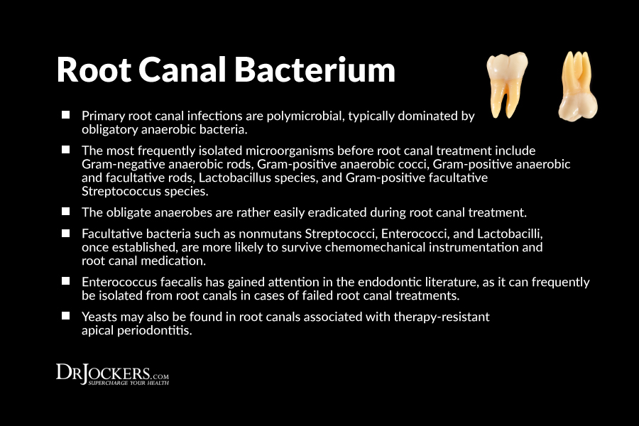 root canals, The Dangers of Root Canals