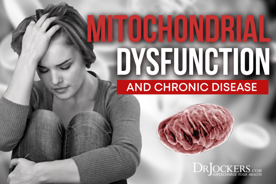 Mitochondrial, Mitochondrial Dysfunction and Chronic Disease