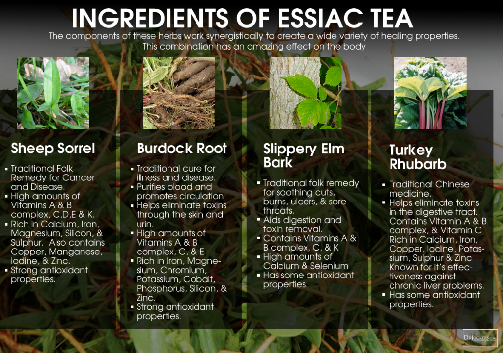 ESSIAC_Ingredients