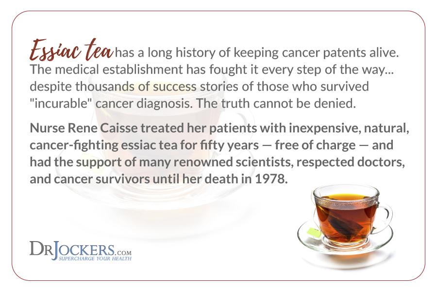 Essiac tea, Should You Use Essiac Tea For Cancer?