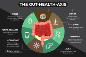 What Is Leaky Gut Syndrome and How Does it Impact our Health?