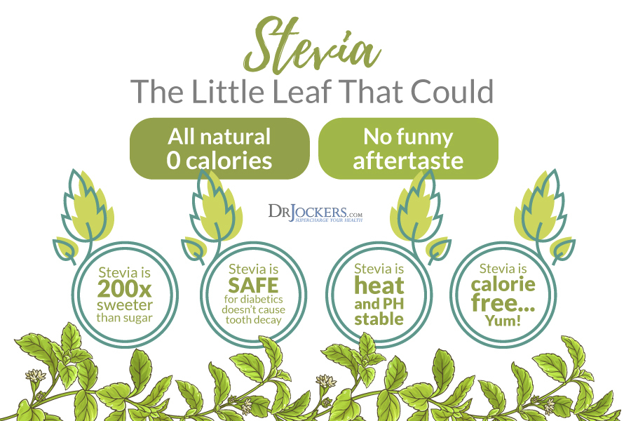 stevia, Is Stevia the Best Sweetener on the Market?