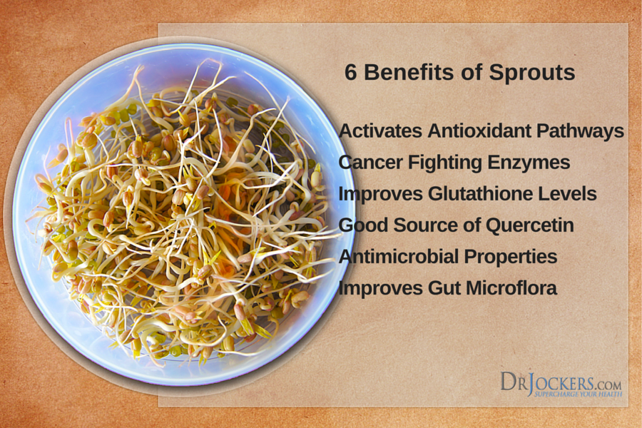 6 Benefits of Sprouts