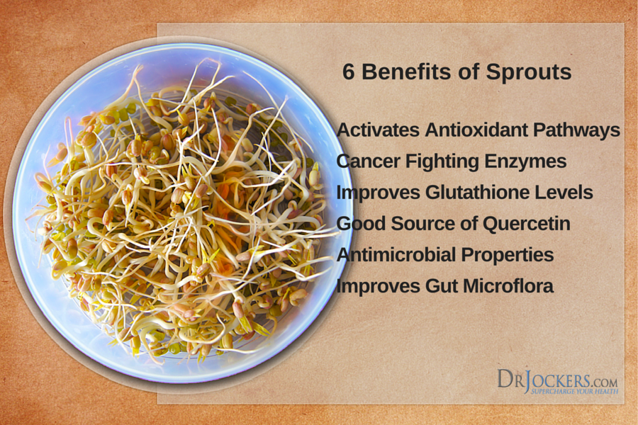 Broccoli Sprouts Top 6 Health Benefits for Gut & Hormones