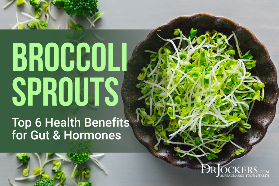 broccoli sprouts, Broccoli Sprouts: Top 6 Health Benefits for Gut &#038; Hormones