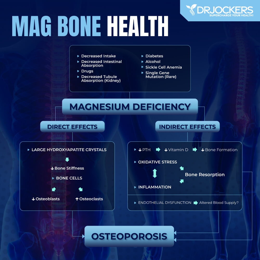 magnesium improves brain