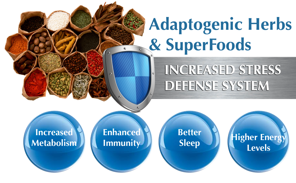 Adaptogenic-Herbs-and-SuperfoodDefense