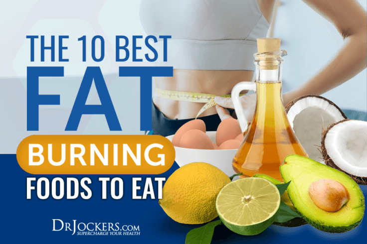 The 10 Best Fat Burning Foods to Eat - DrJockers.com