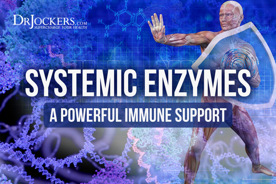Systemic Enzymes, Systemic Enzymes are a Powerful Immune Support