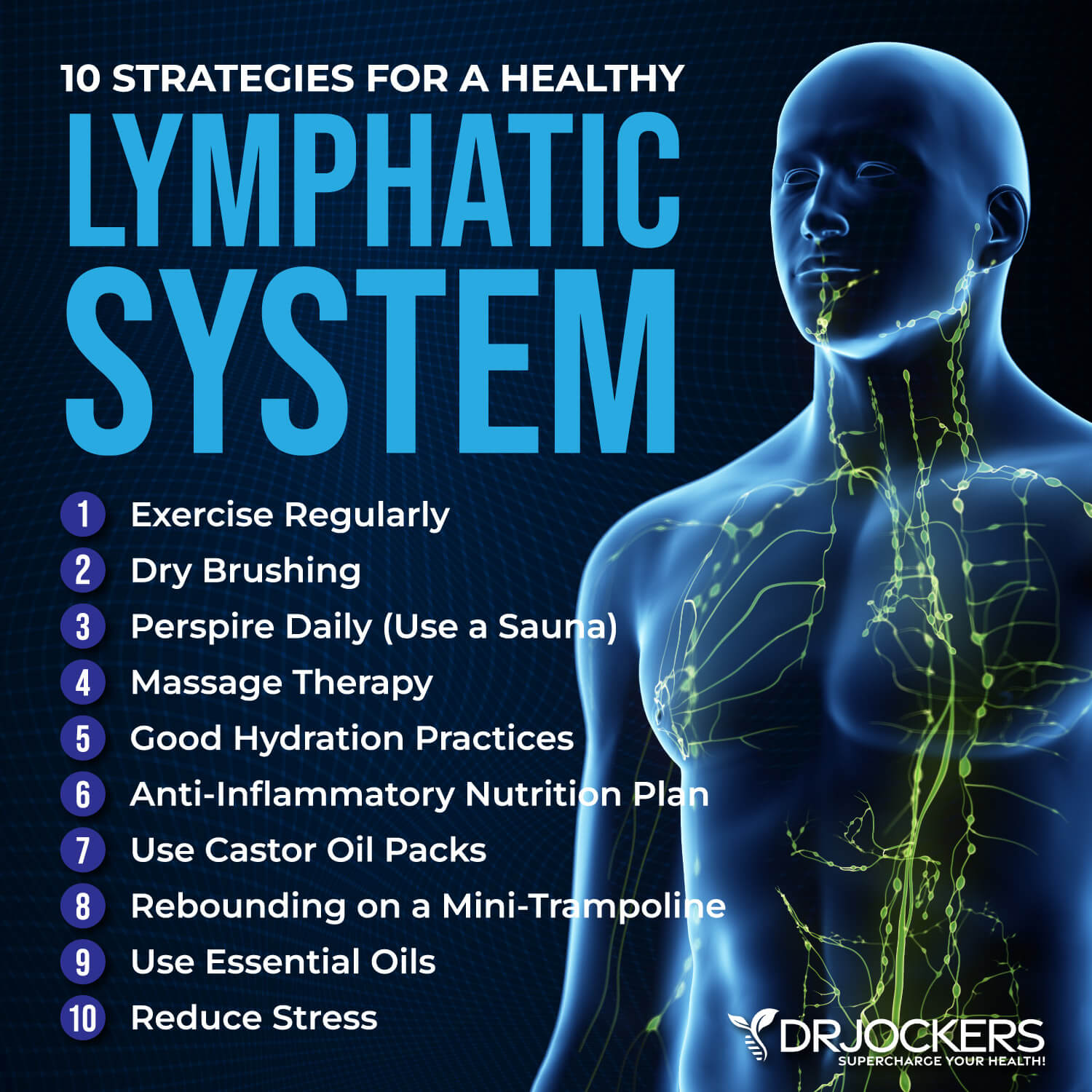 Top rebounding tips to cleanse your lymphatic system - La Crisalida Retreats