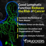 10 Ways To Improve Your Lymphatic System - DrJockers.com