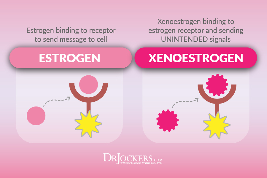 estrogen metabolism, 7 Ways to Improve Estrogen Metabolism