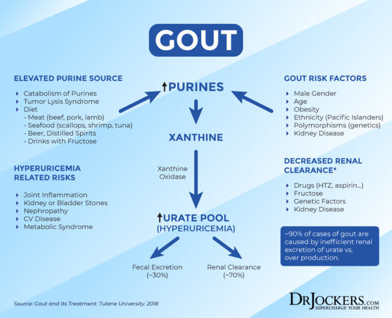 Gout: Symptoms, Causes and Natural Support Strategies