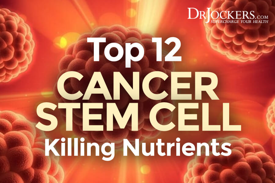 Cancer Stem Cell, Top 12 Cancer Stem Cell Killing Nutrients