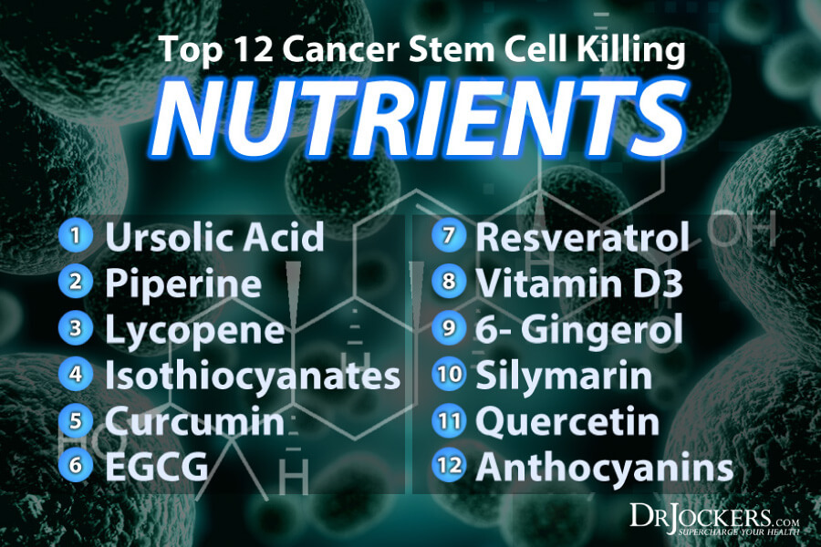 Cancer Stem Cell, Top 12 Cancer Stem Cell Killing Nutrients