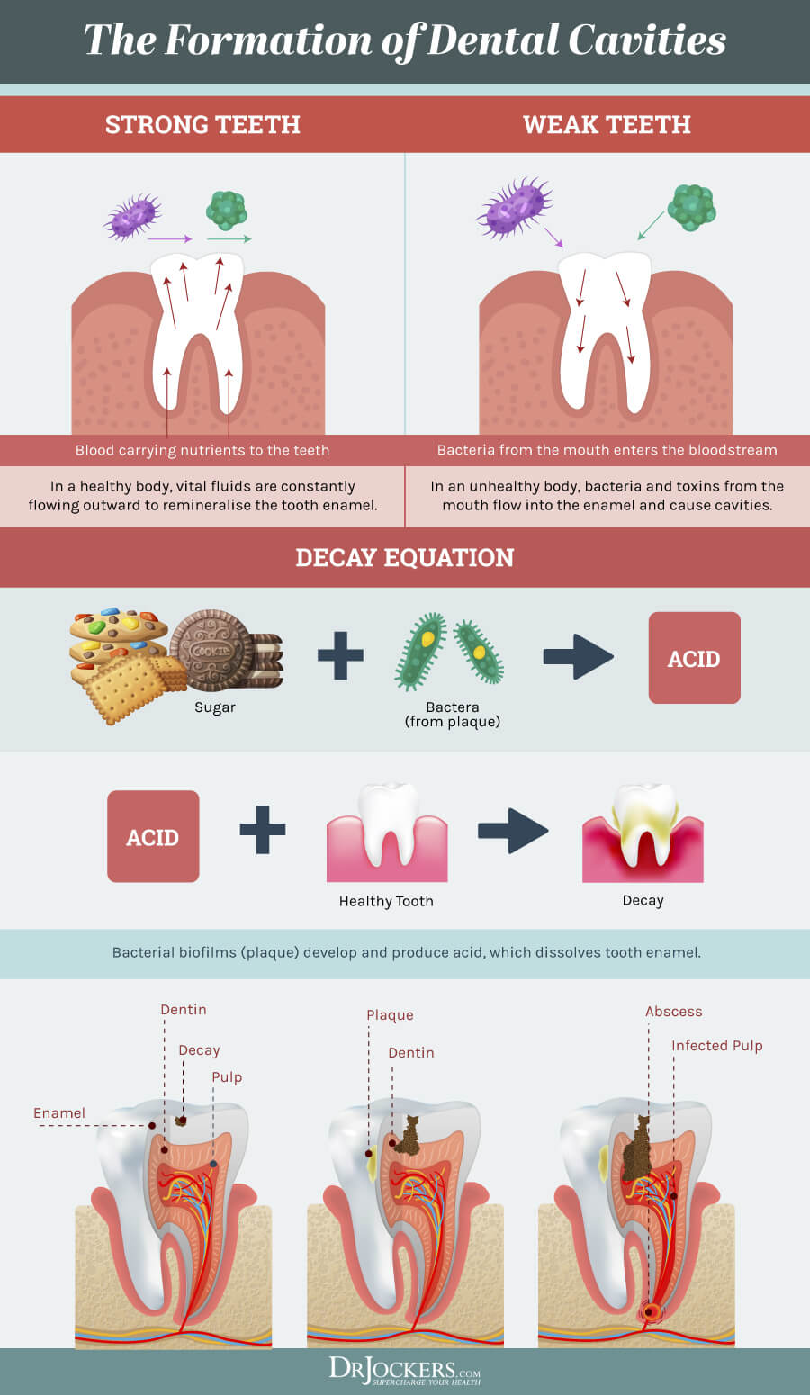 Healthy Teeth, The Top 9 Nutrients for Healthy Teeth and Gums