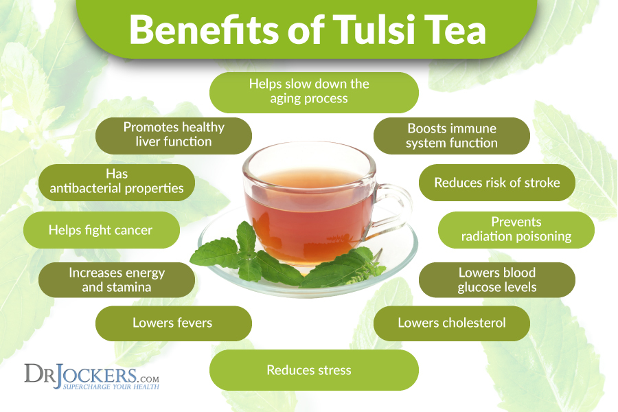 Cancer Stem Cell, Top 12 Cancer Stem Cell Killing Nutrients