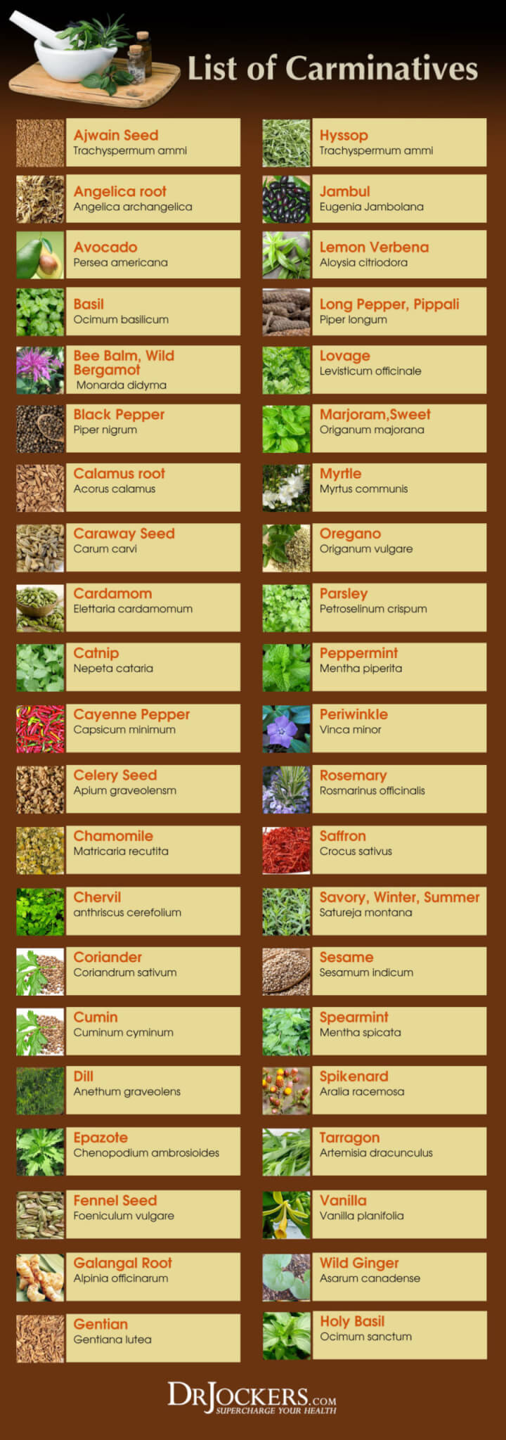 carminative herbs, 7 Reasons to Use Carminative Herbs