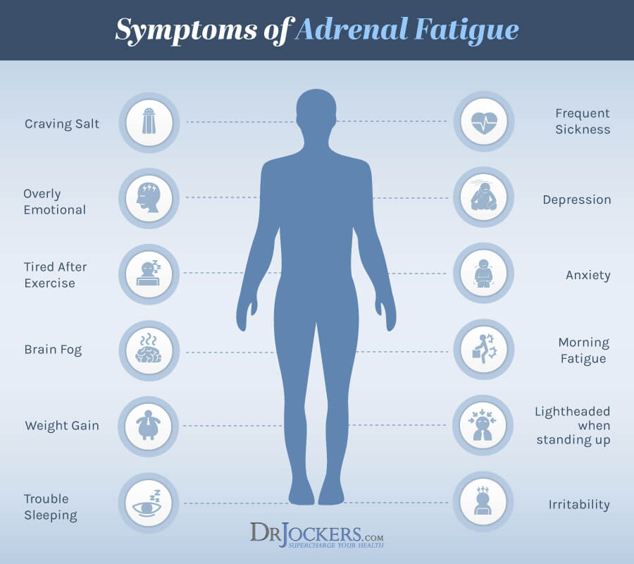 The 7 Key Phases of Adrenal Fatigue DrJockers