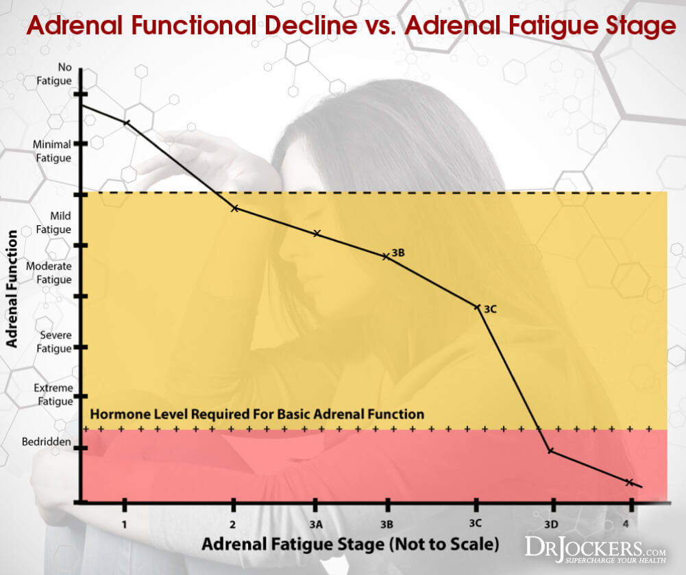 fatigue, The 7 Key Phases of Adrenal Fatigue