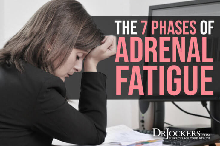 The 7 Key Phases Of Adrenal Fatigue Drjockers